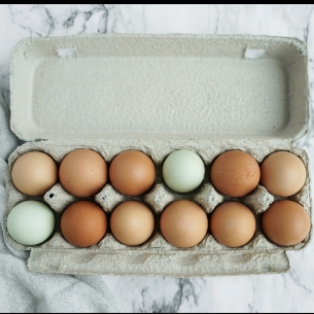 Dozen Eggs at Juniper Brooks Farm
