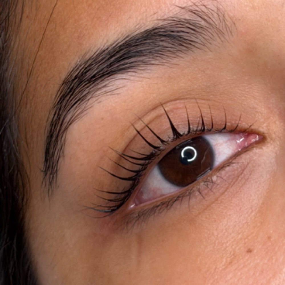 Korean Lash Lift + Tint at LEX in Chino, CA