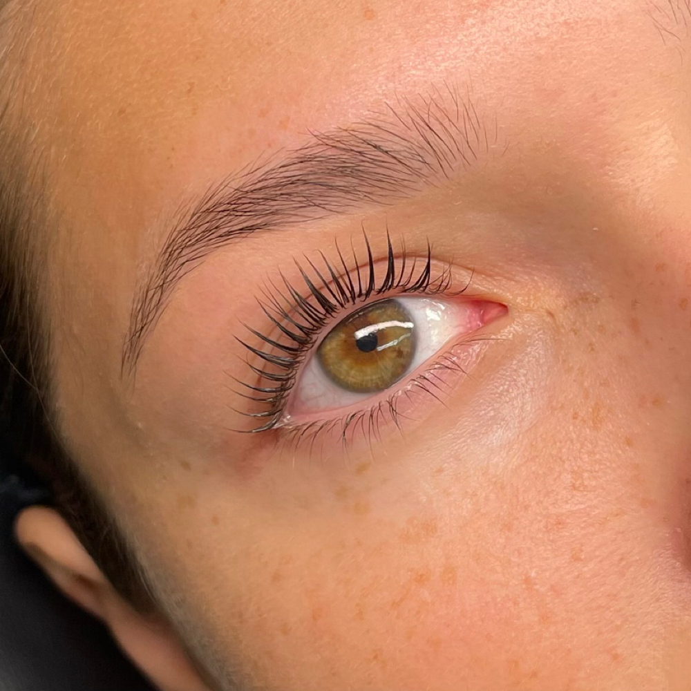 Korean Lash lift + Tint at The Beauty Lab in Omaha, NE
