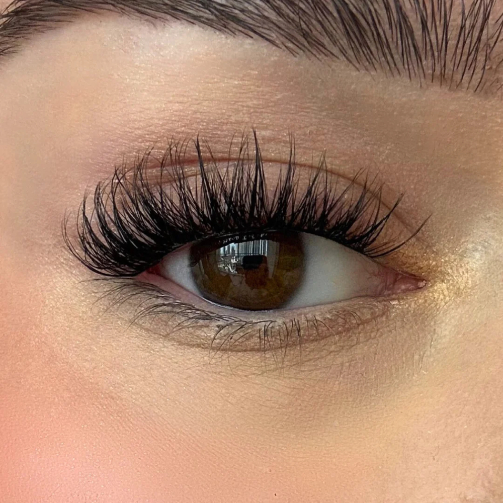 Mink Cluster Lash Membership