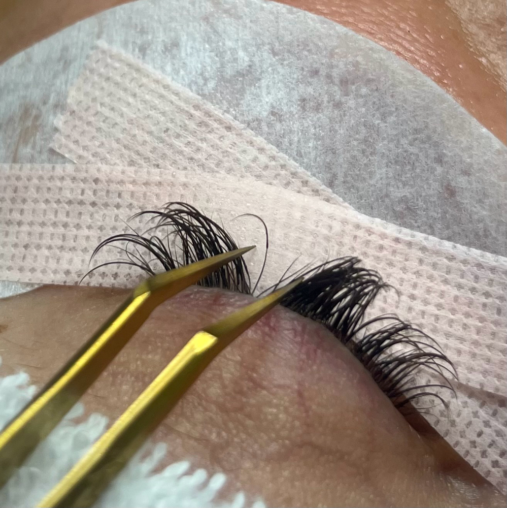 Lash Coaching
