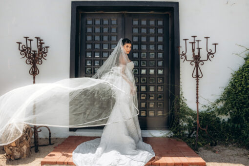 Bridal Gown Consultation