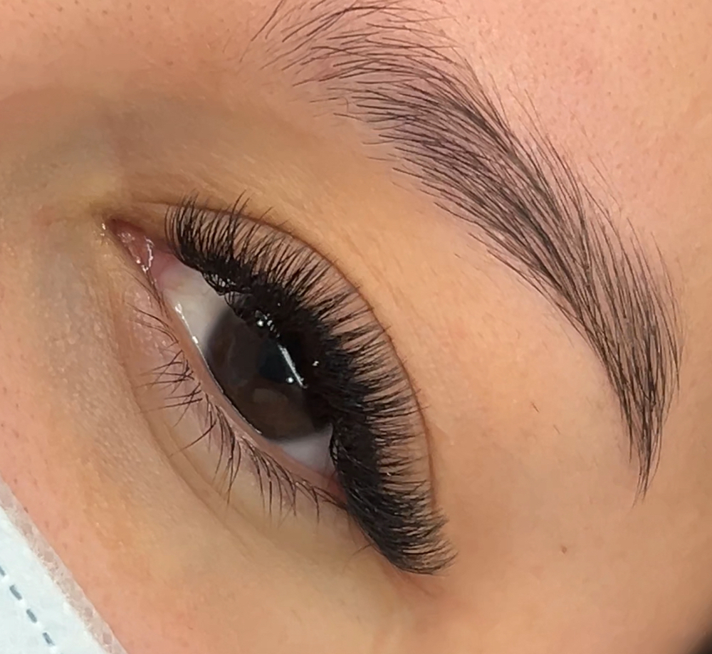 Hybrid Light Volume Full Set