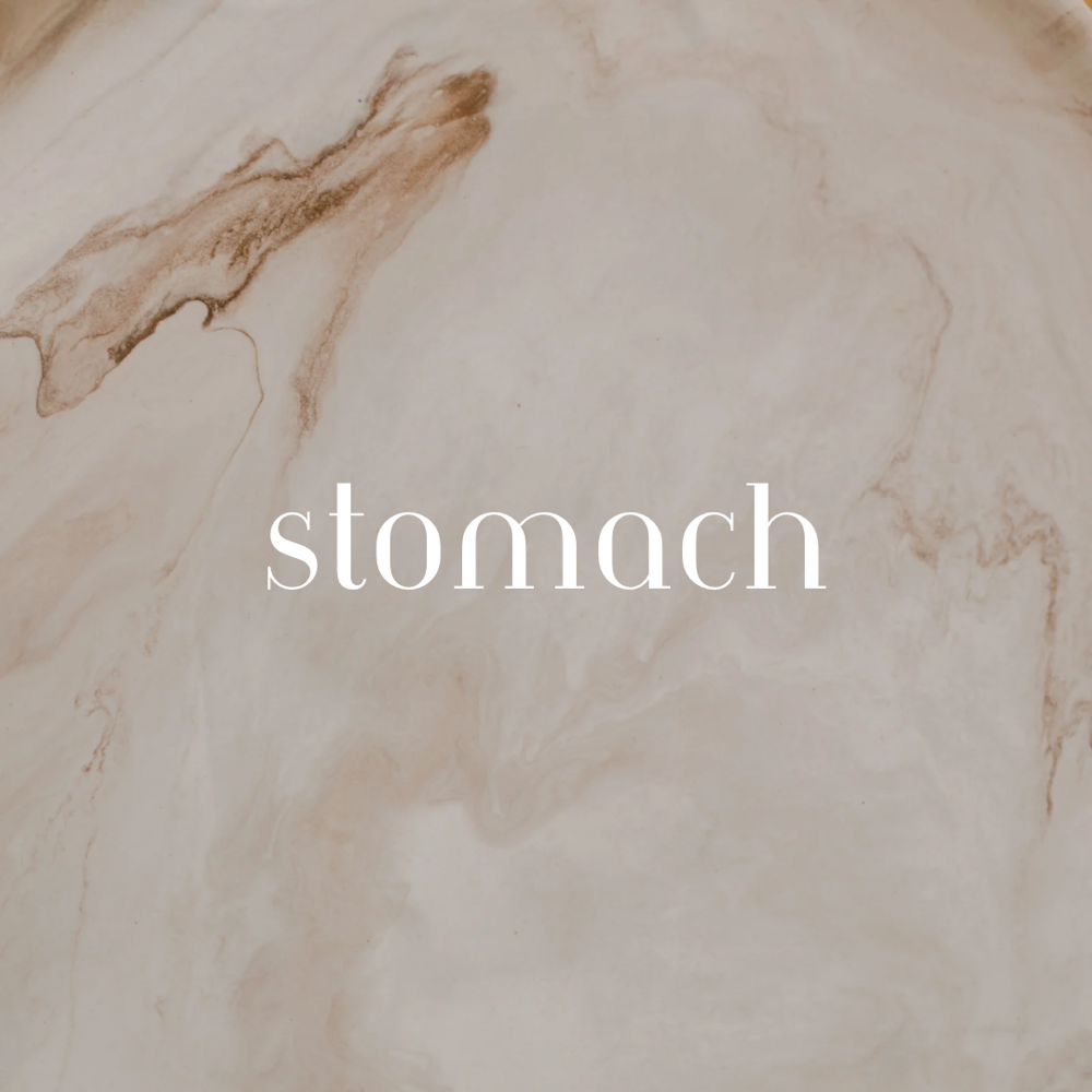 Stomach