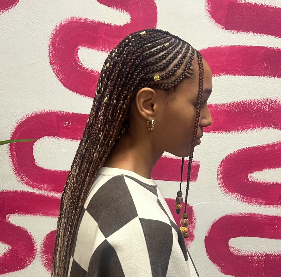 Fulani Braids