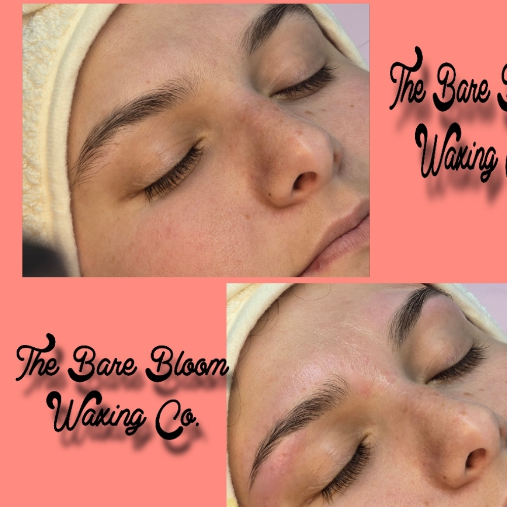 Basic Brow Wax at The Bare Bloom Waxing Co. in Paris, TX
