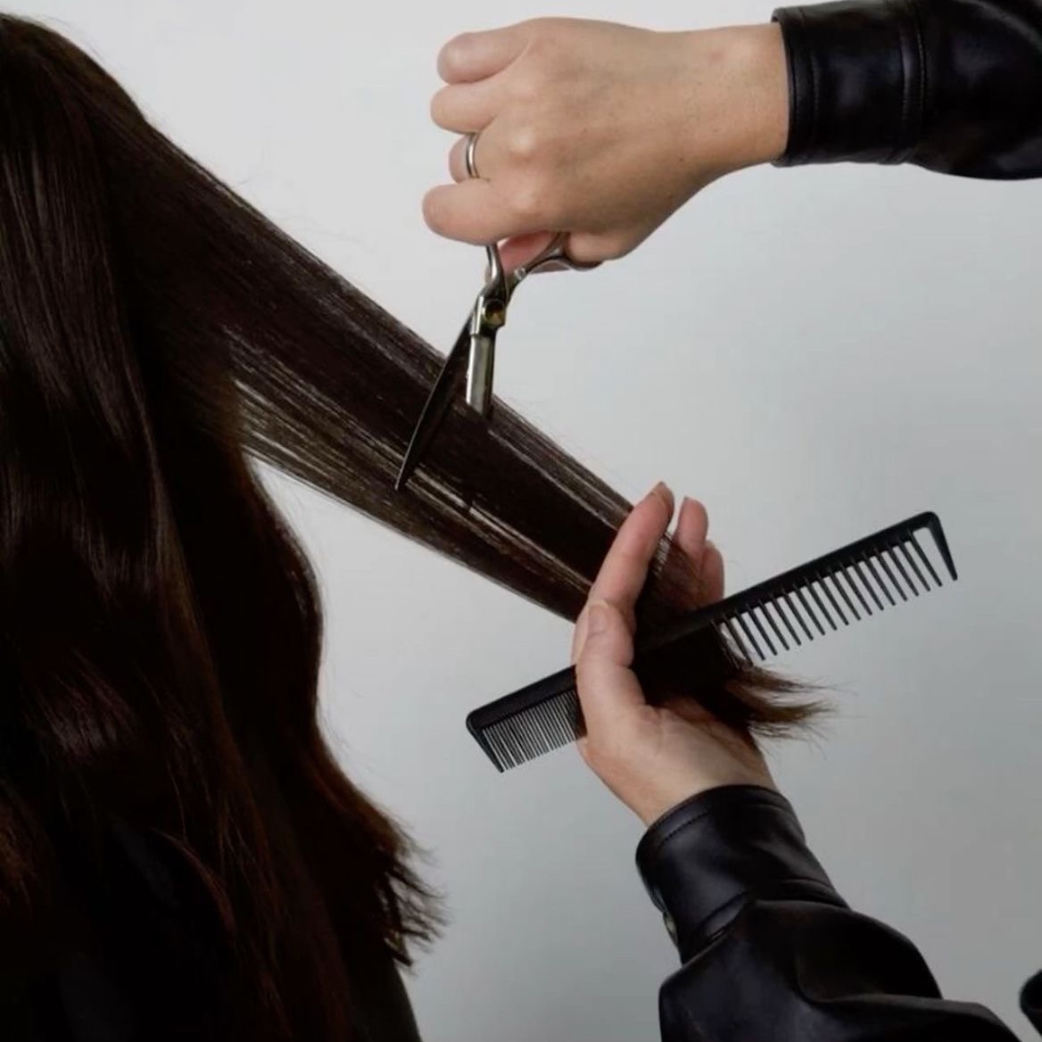Women’s Haircut at Wild + Chic Co. in Saint Clarsville, OH