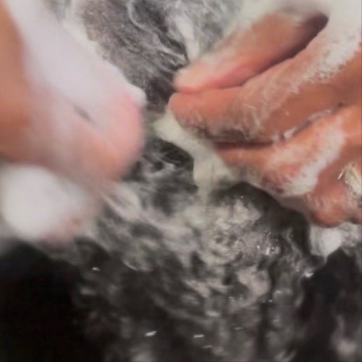 Shampoo, Condition, Blow Dry (only) at KAAATWALK Hair Studio in Virginia Beach, VA