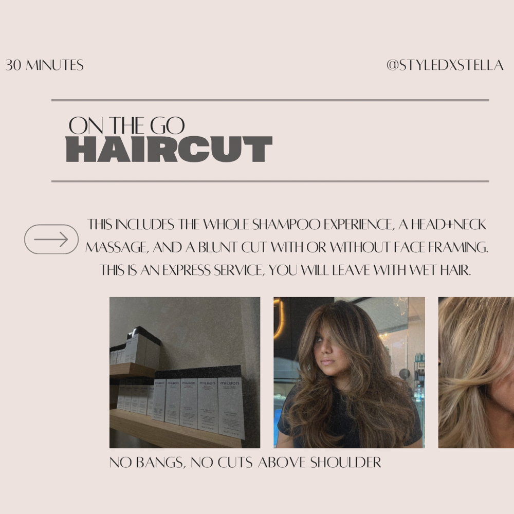 ON THE GO HAIRCUT