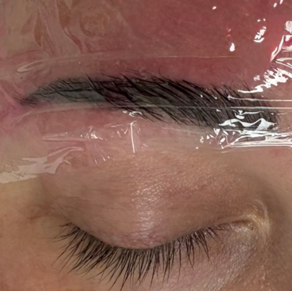 Brow Lamination & Wax at ✨Glow Skin & Lash Esthetics By Buzzy✨ in Crab Orchard, WV