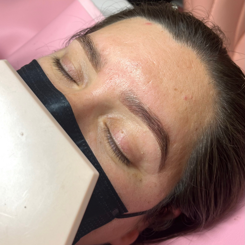 Brow Wax & Tint at LANAESTHETICZ in Castro Valley, CA