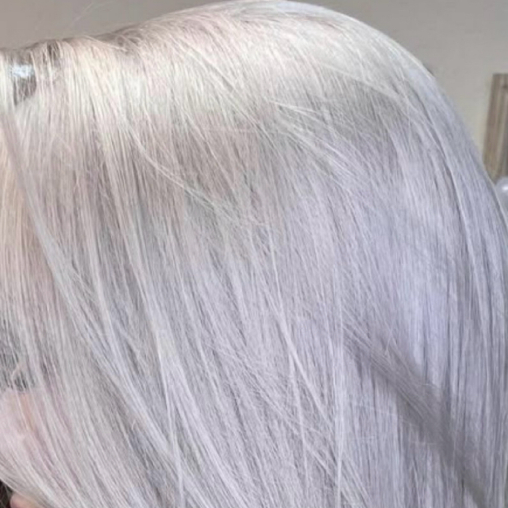 Bleach And Tone at Ashley Lipnitzky Hair in Machesney park, IL
