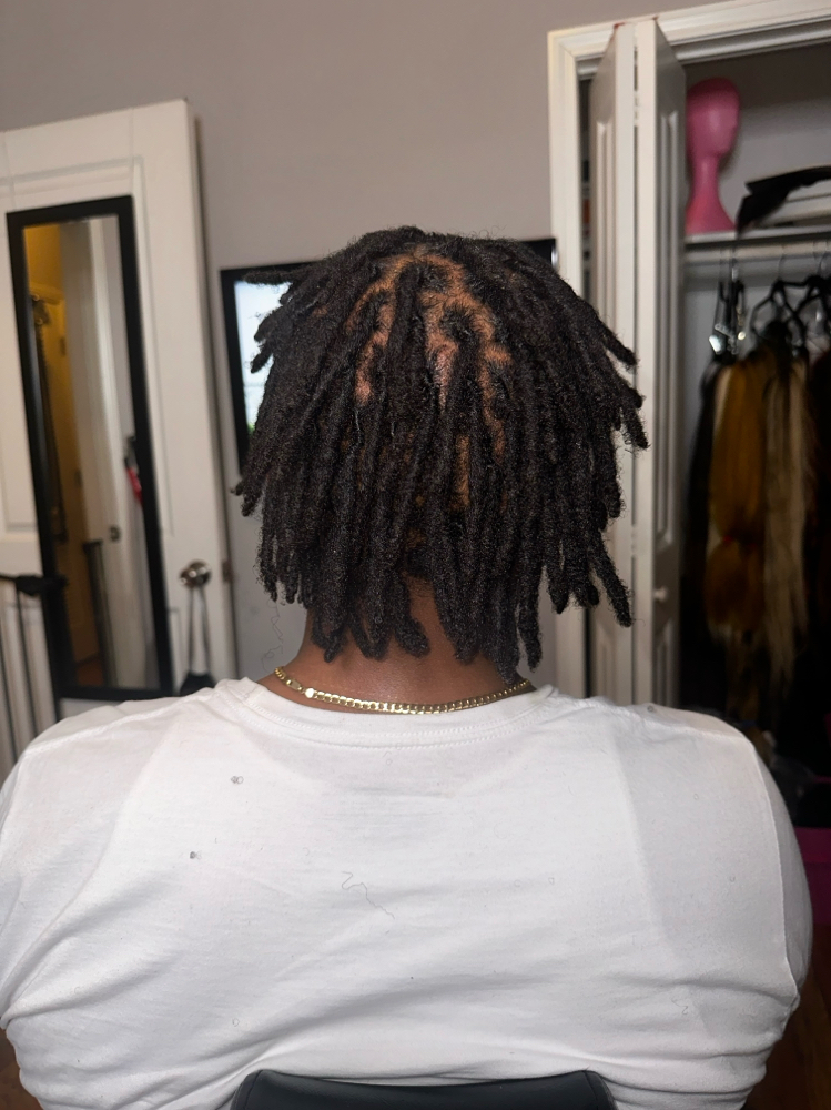 Starter Locs/Crotchet