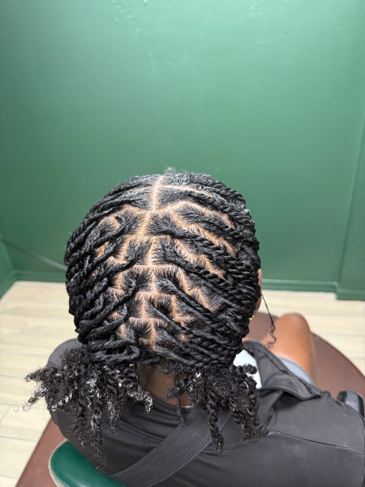 Starter Locs And Style