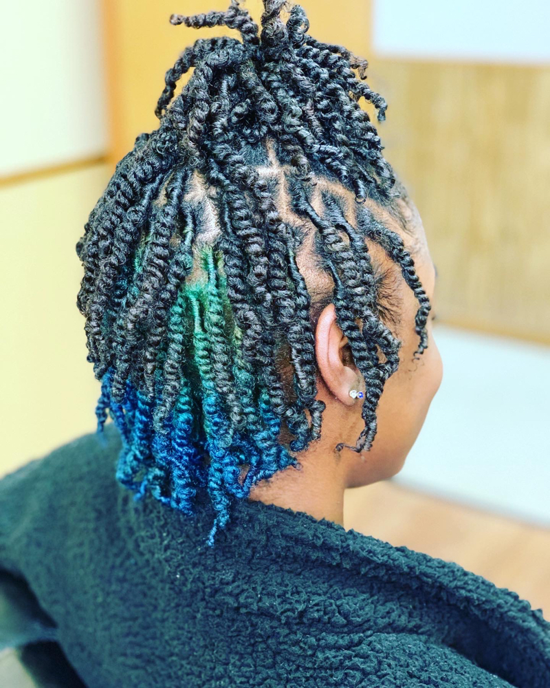 2 Strand Starter Locs(Short)
