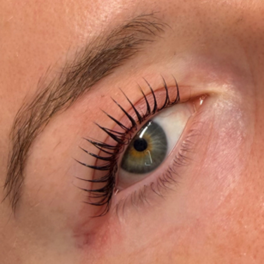 Korean Lash lift + Tint at HABIBIESTHETICS in ROCKLIN, CA