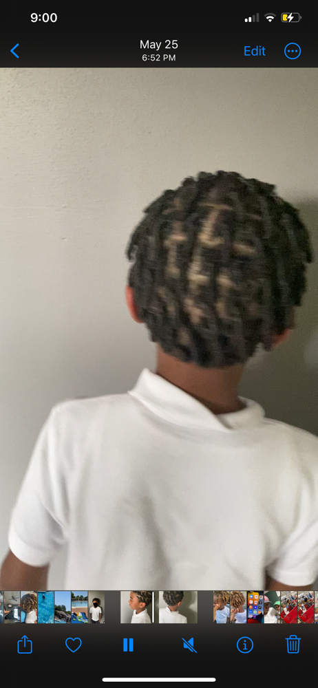 Starter Locs