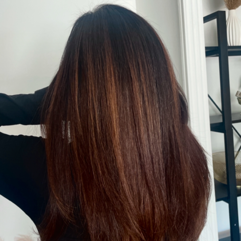 Root Touch-Up at Hair By Holly @ Blush + Ivy in Wheaton, IL