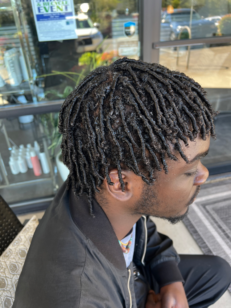 Starter Locs