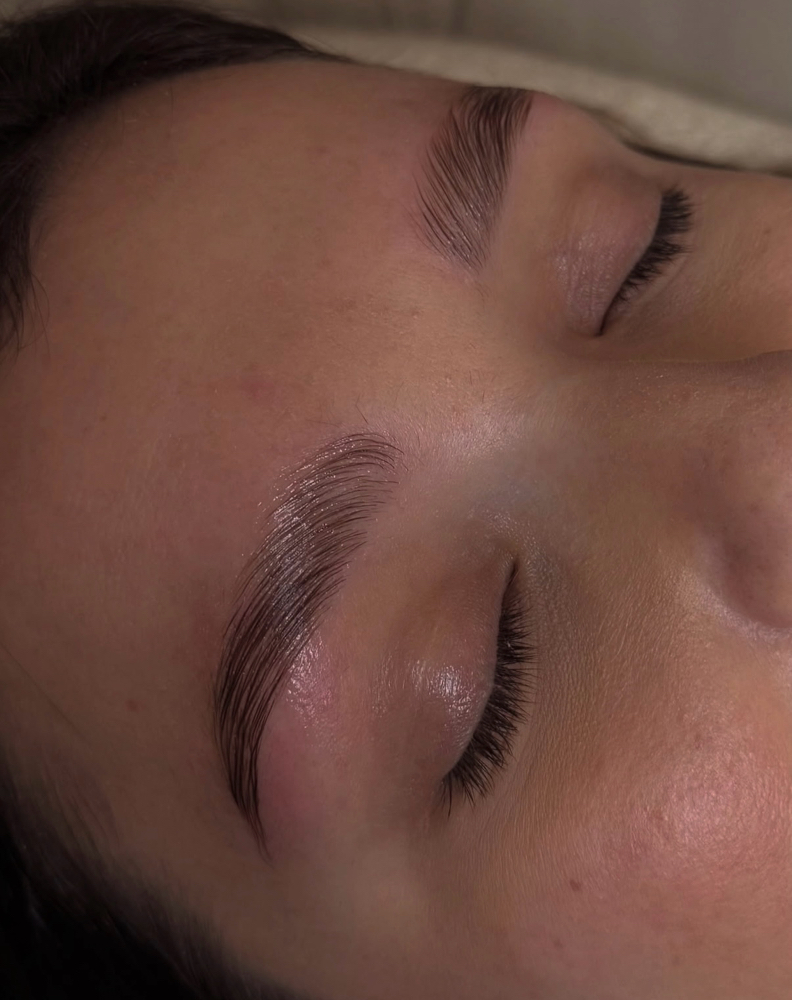 Eyebrow Wax + Tint at Skin Theory - Logan in Perry, FL