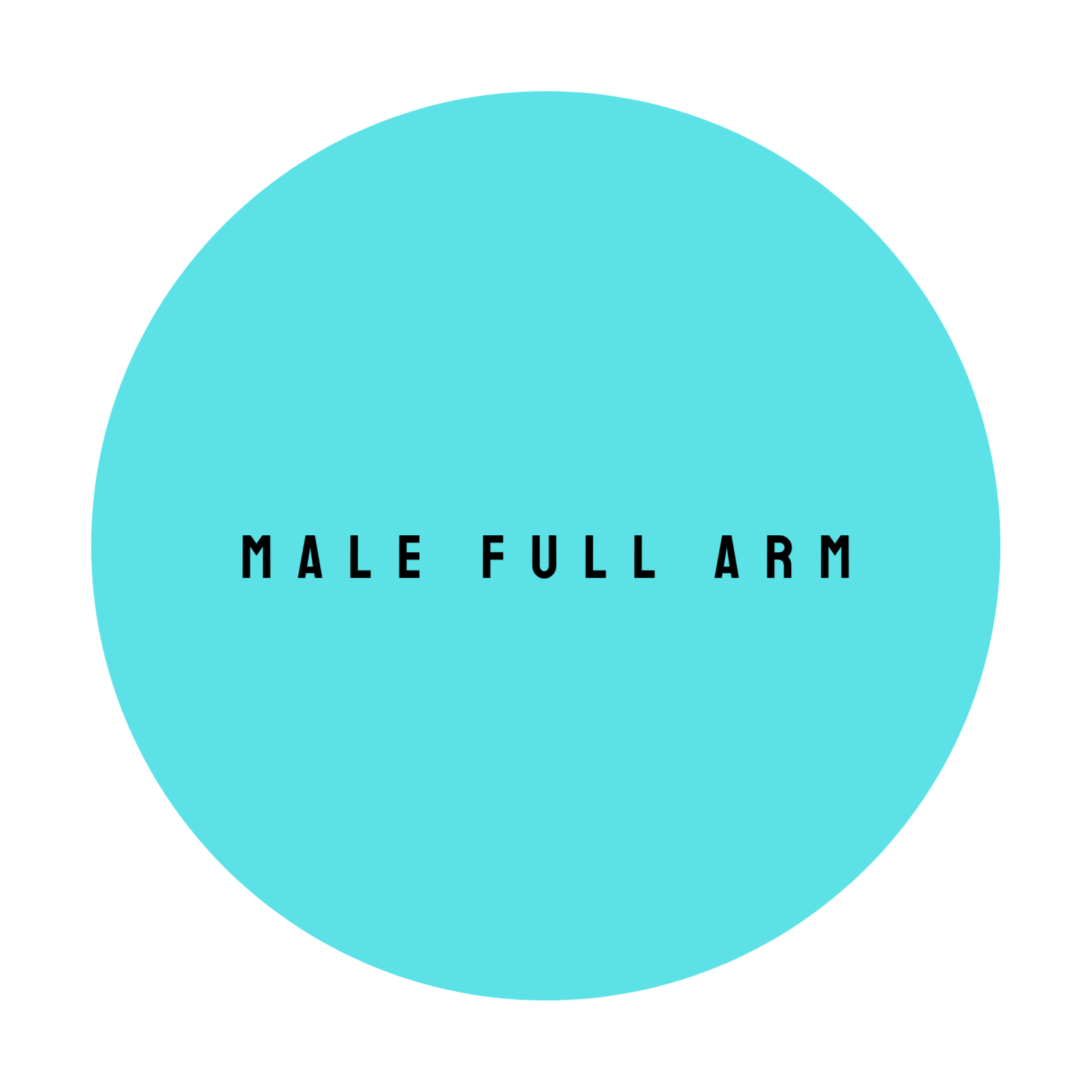MALE FULL ARM at The Dollhouse Wax Studio in Smyrna, TN