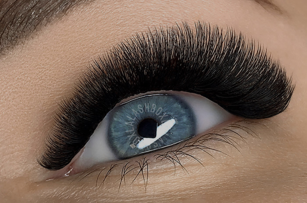Eyelash Ext Mega Vol at Belleza hair & skin Studio in Waltham, MA