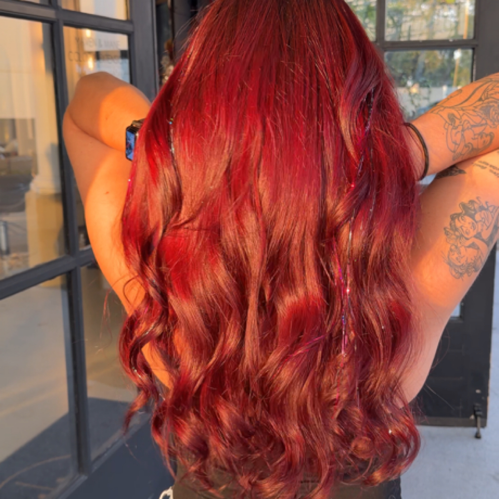 All Over Color at Stevie’s Hair Artistry in Sarasota, FL