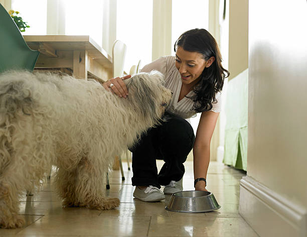 Deep clean & refill Fur Baby Dish