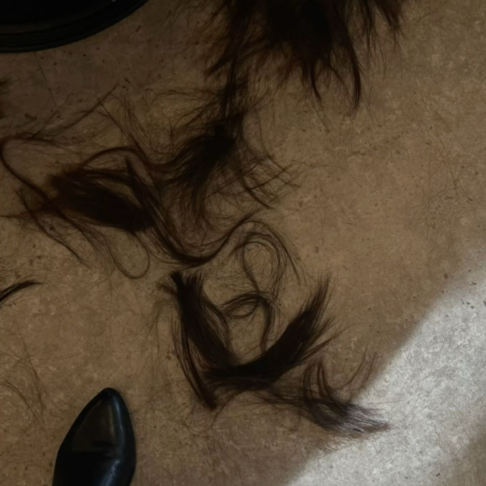 XL Haircut at Deja Does Hair | Superior Hair Salon in Superior, CO