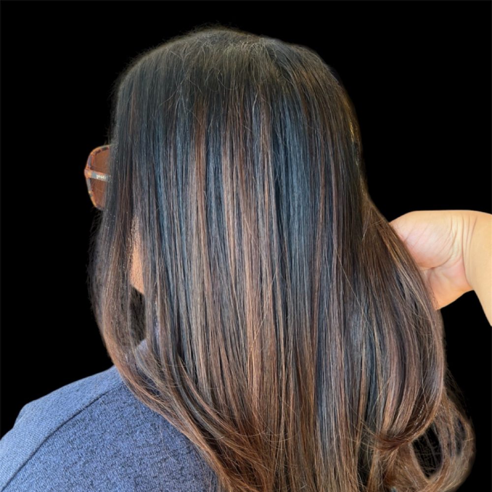 Root Touch Up at The Glossary in Hickory, NC