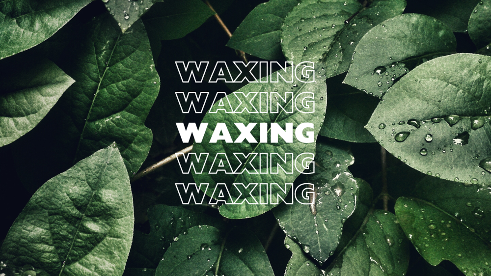 Face + Body Waxing