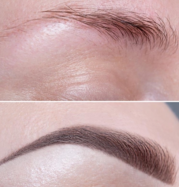 Eyebrow Wax +Brow Tint