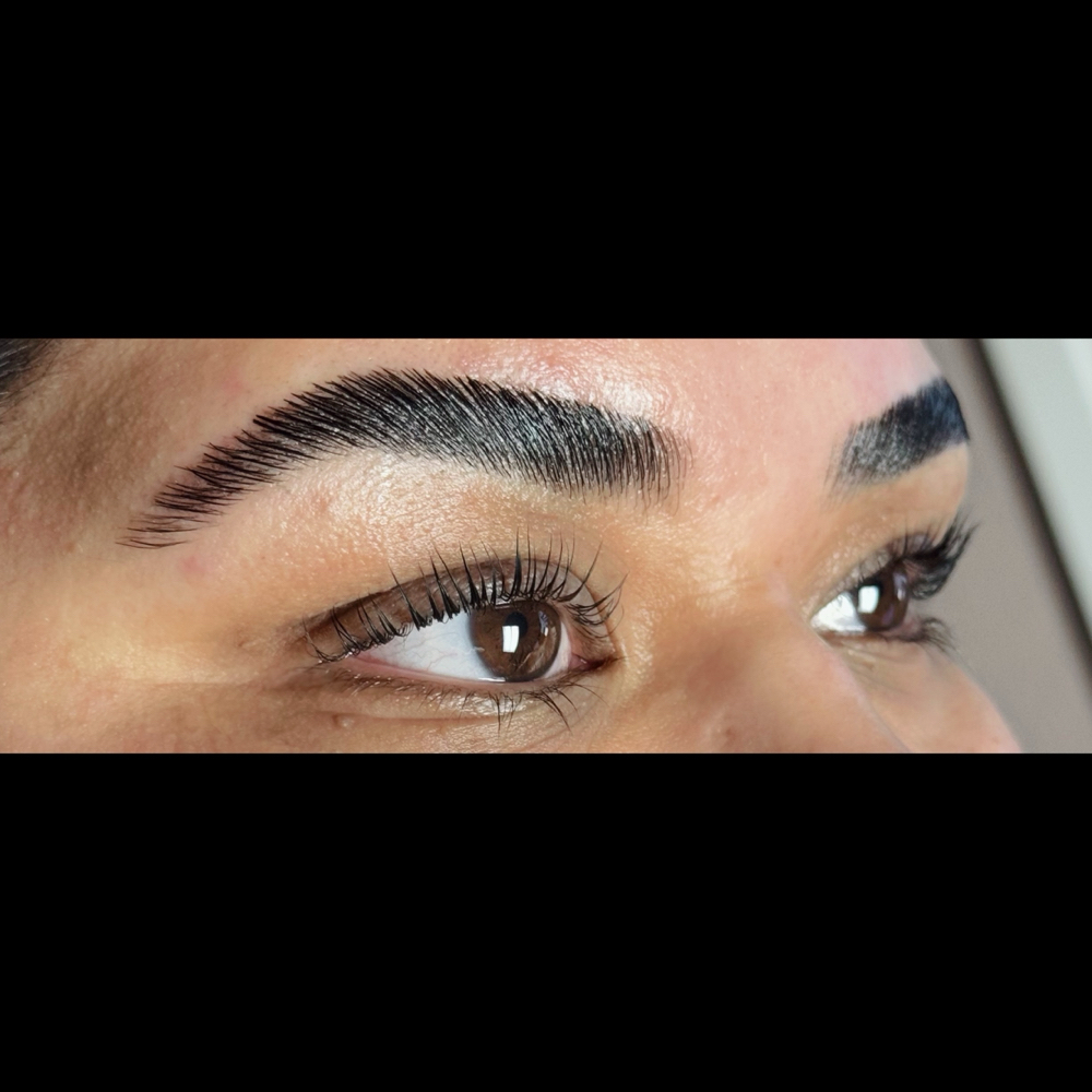 Lash Lift🦇