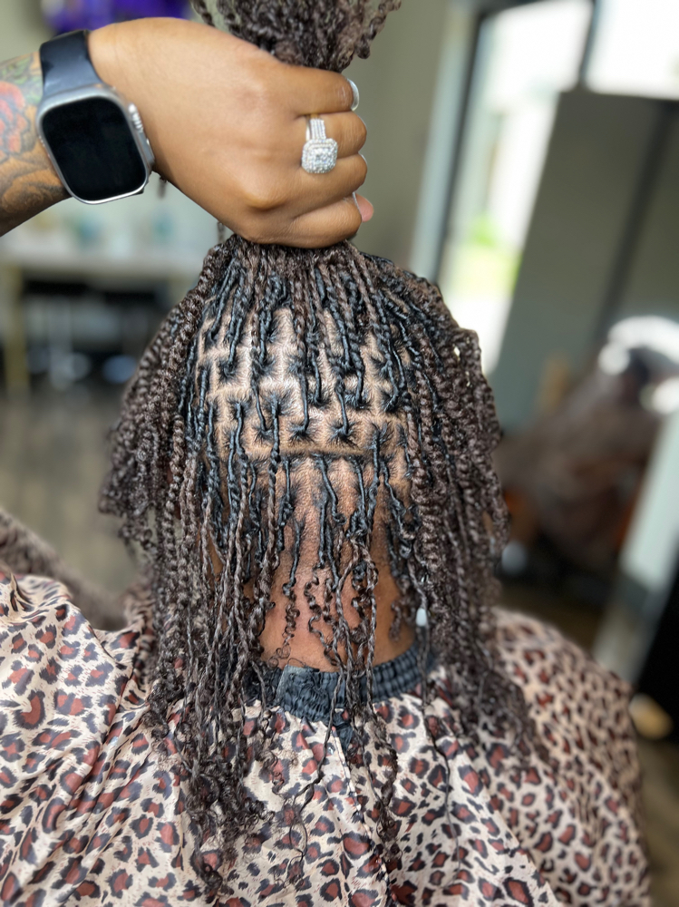Starter Locs