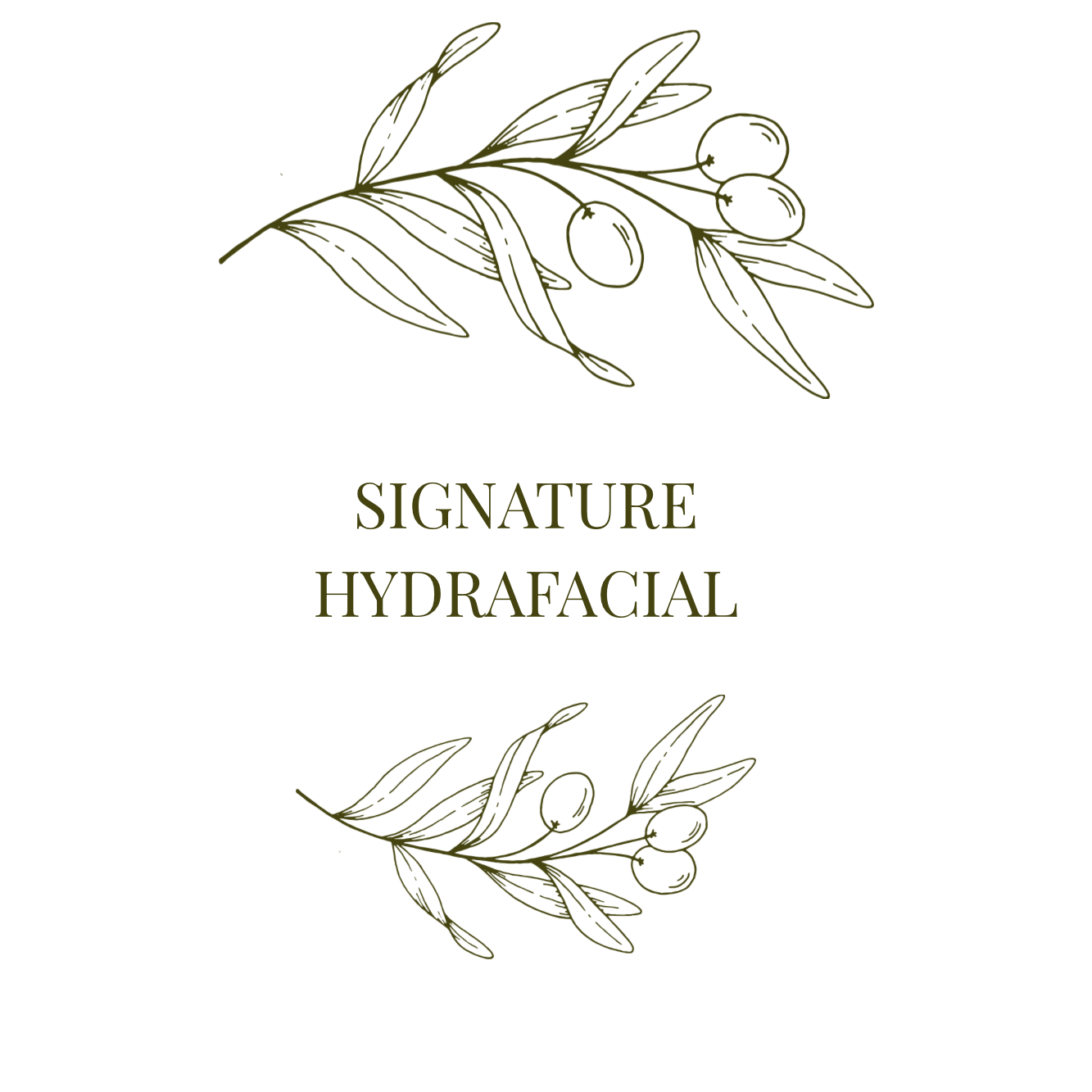 Signature Hydrafacial at Olive Branch Skin Co in Cincinnati, OH
