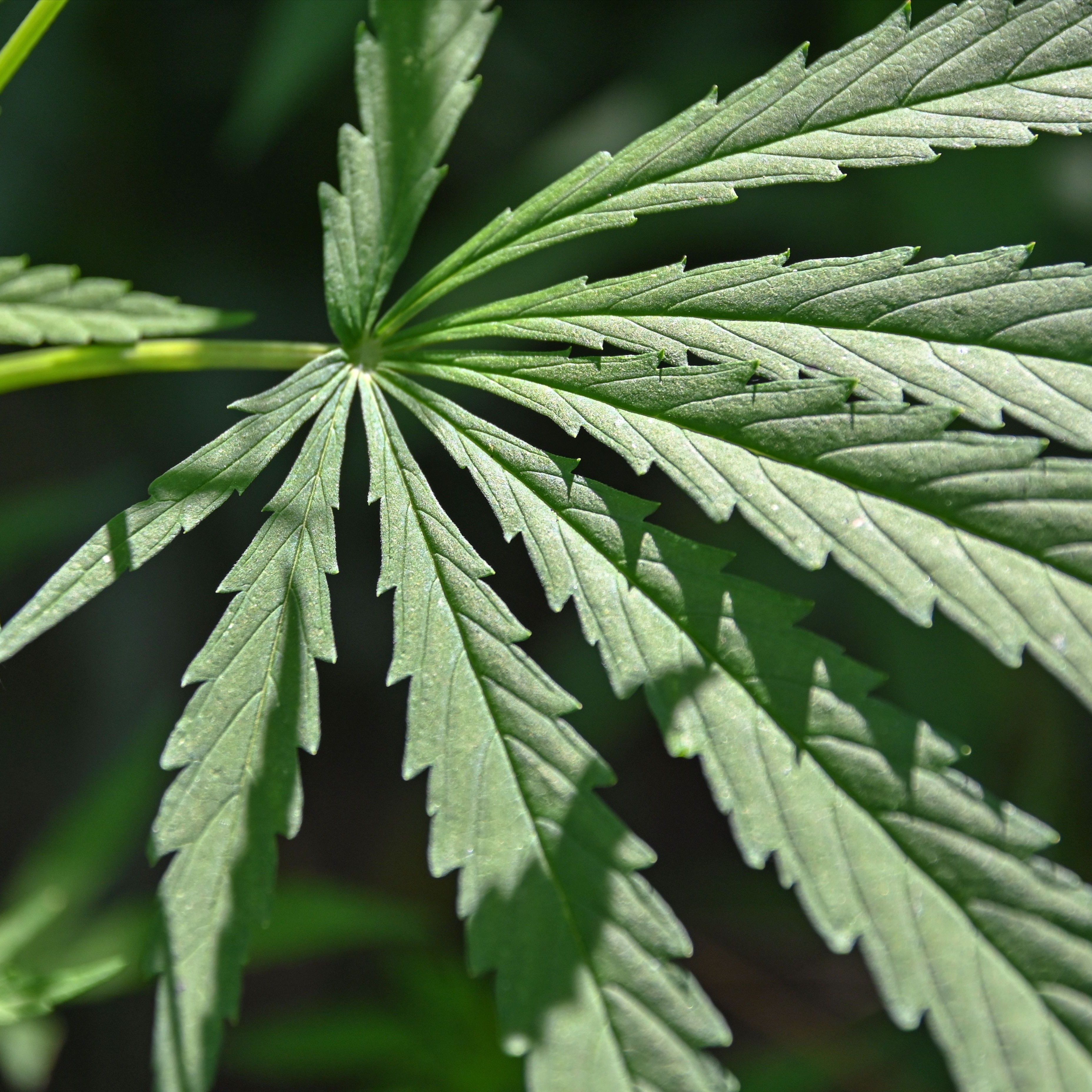 Add on: Hemp Muscle Cream + Massage at Stay Ready Skin in Denver, CO