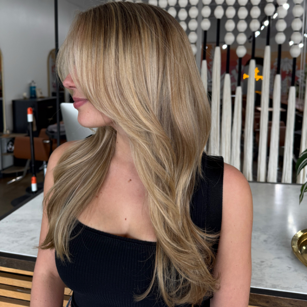 Full Highlight Haircut