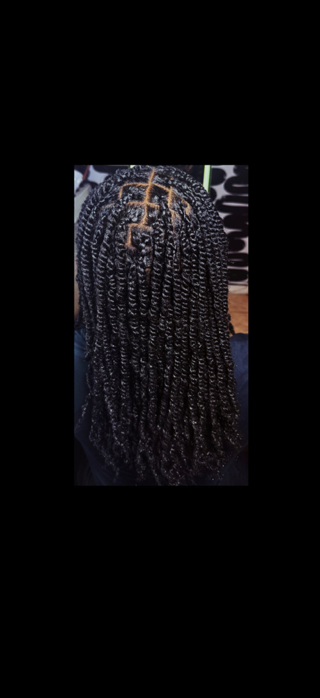 Mini Twists