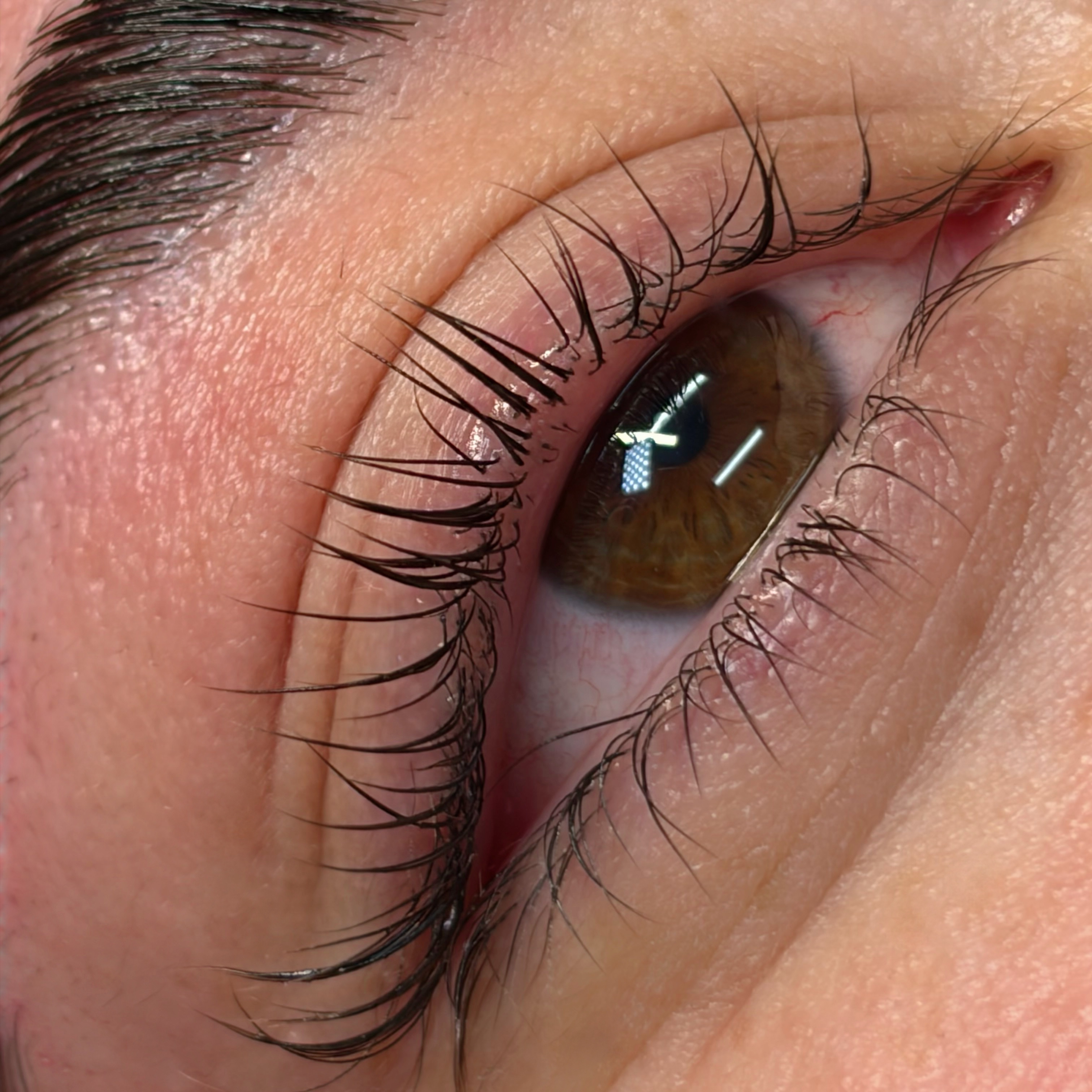 Korean Lash Lift & Tint at Holy Babe Brows in Mission Viejo, CA