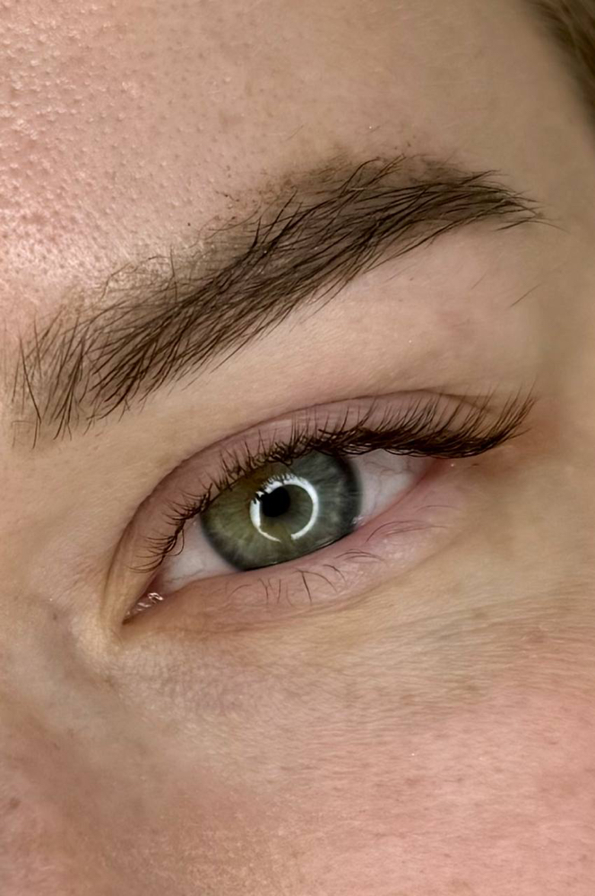 Classic/Wet Lash Fill (2-3 weeks)