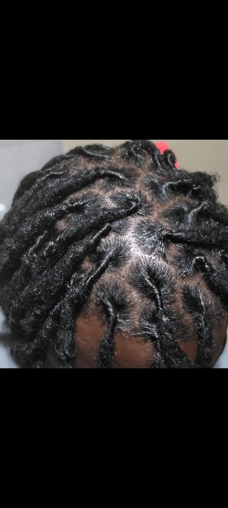 Loc Retwist (only)