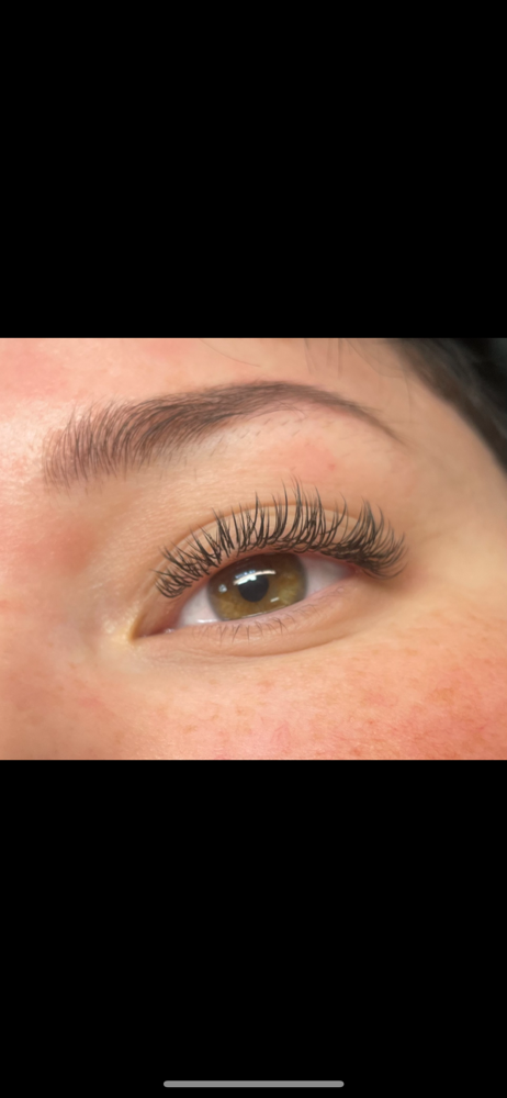 Full Wet Set Lashes