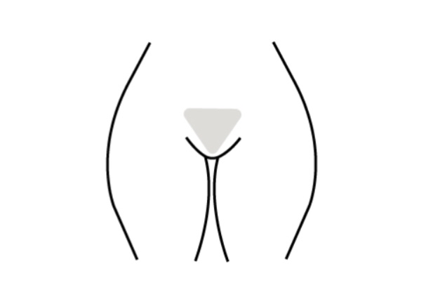 Full Bikini Wax
