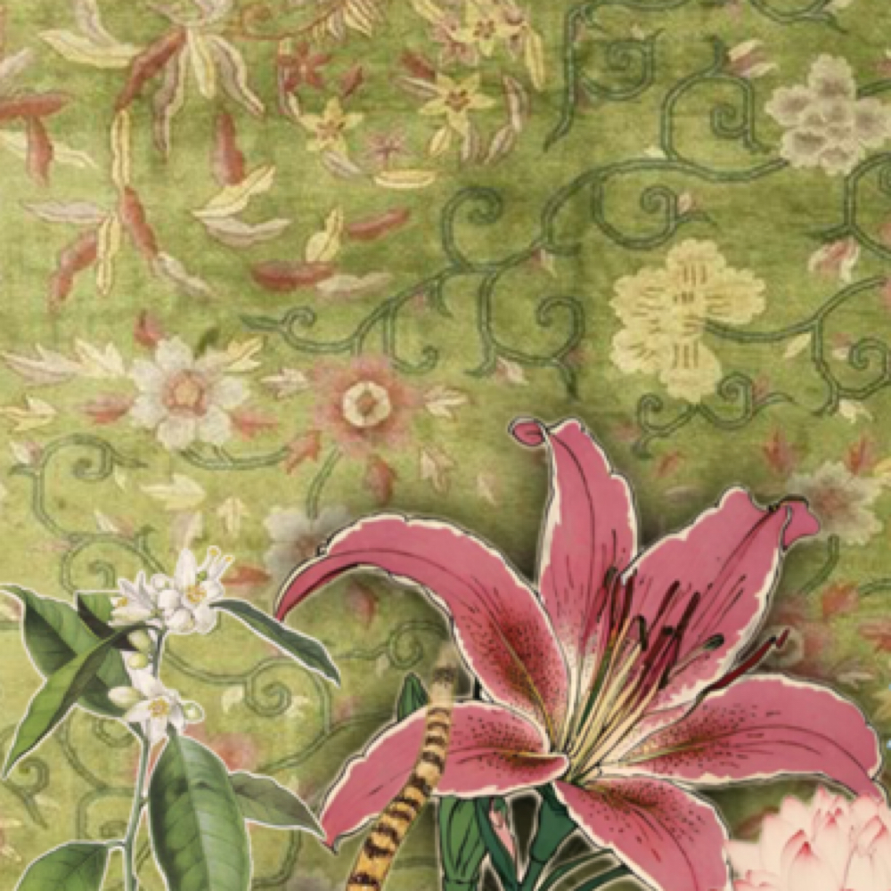 Toenail trim and file at Dolled Up Nails by Harley in saint.joseph, MO