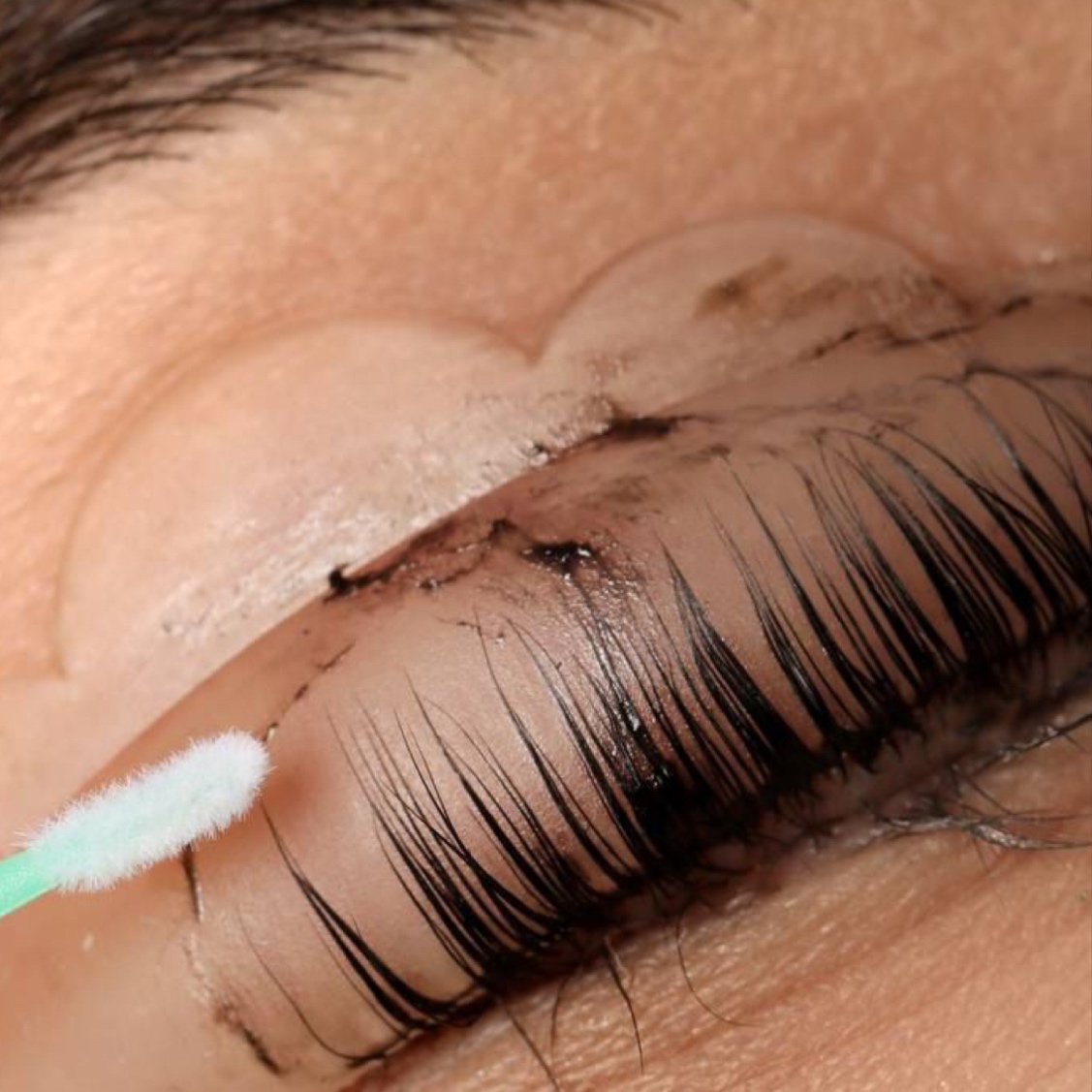 Lash Lift + Tint Combo at The Grove Salon Co. in Rocklin, CA