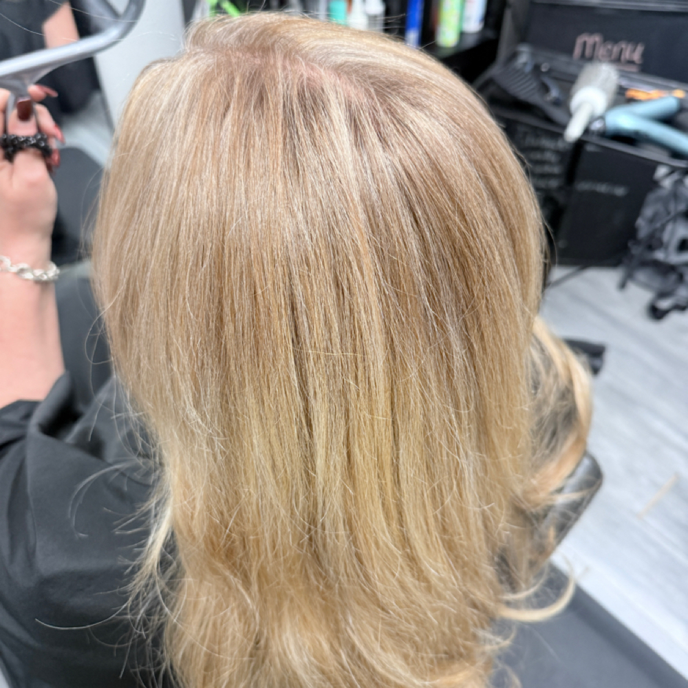 Root Touch Up at Dani Baco in Rockwall, TX