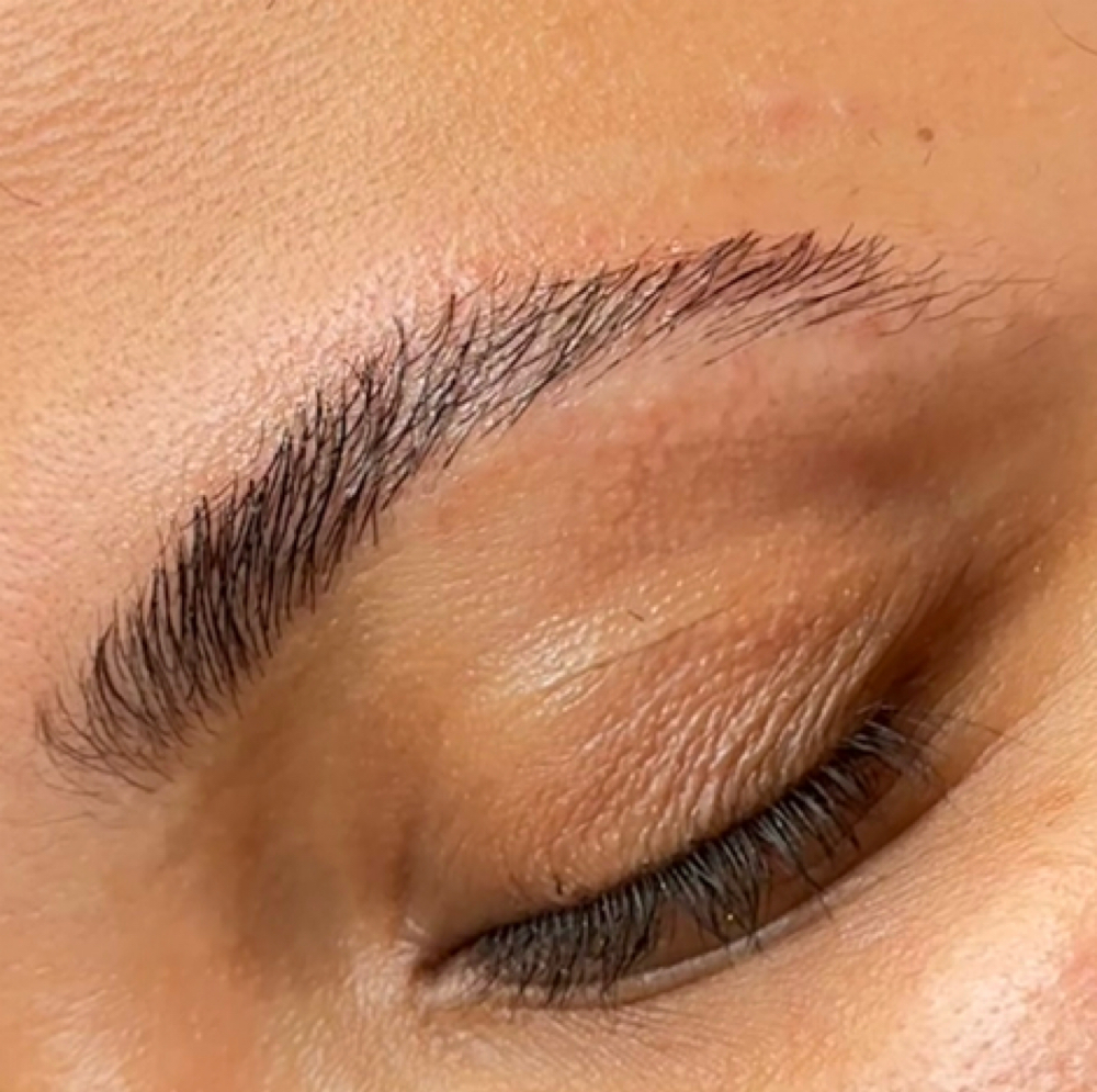 Brow Lamination at Skin Academy in New Bedford, MA