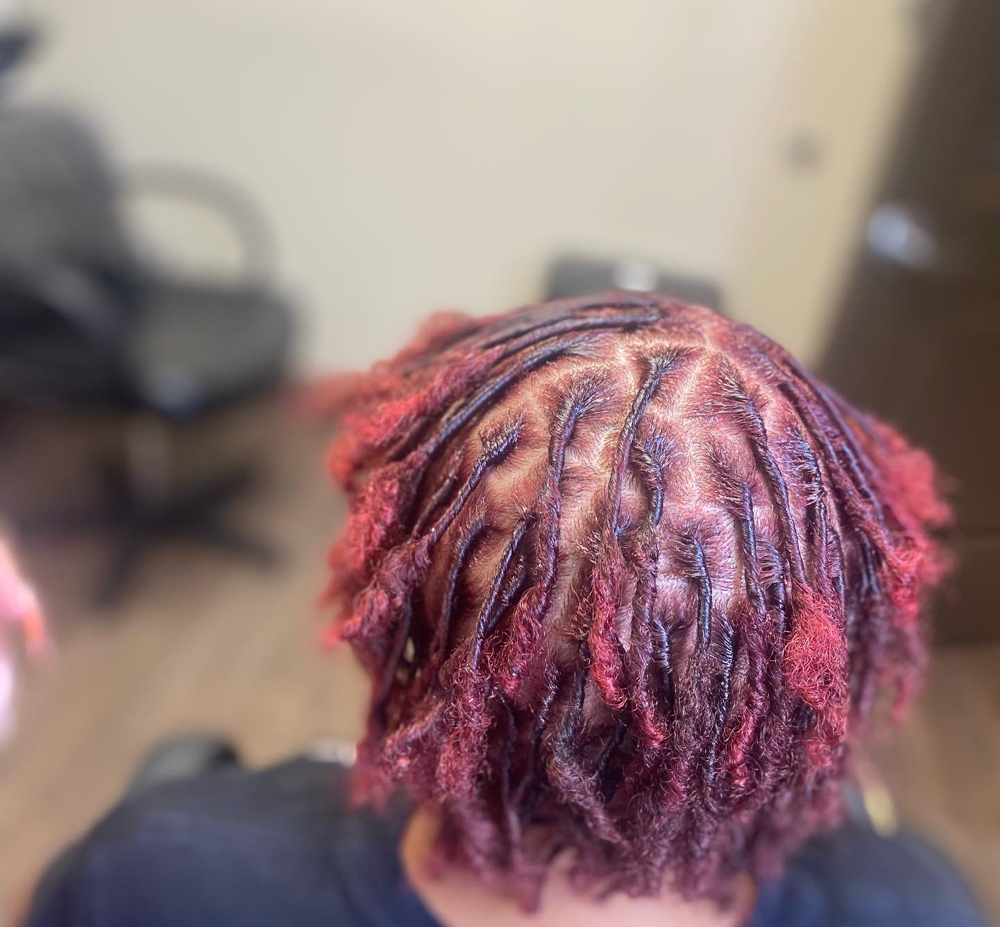 Starter Loc’s