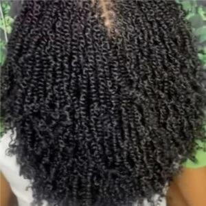 Mini Twist Mid Back Length at Hollywood Soul Salon Ouchlesshairbraiding in San Diego, CA