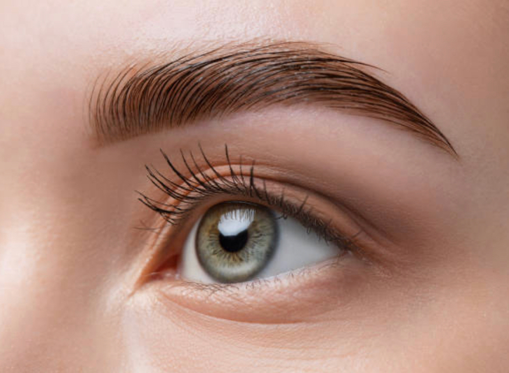 Brow Wax & Tint